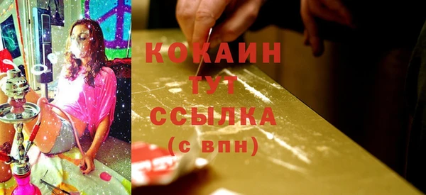 винт Абаза