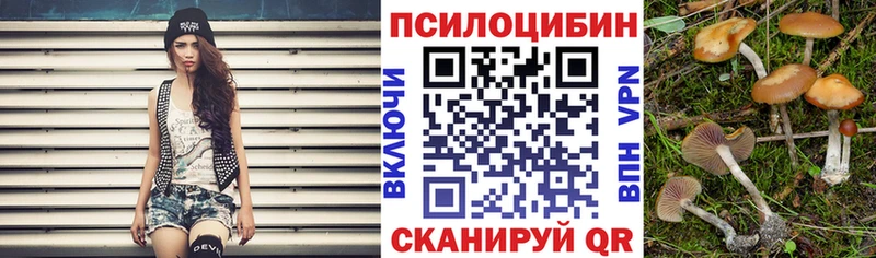 Галлюциногенные грибы Psilocybine cubensis Екатеринбург