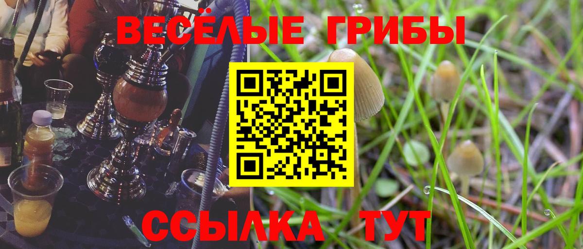Галлюциногенные грибы GOLDEN TEACHER  Псилоцибиновые грибы мицелий  где купить наркоту  Вход с VPN  Екатеринбург 